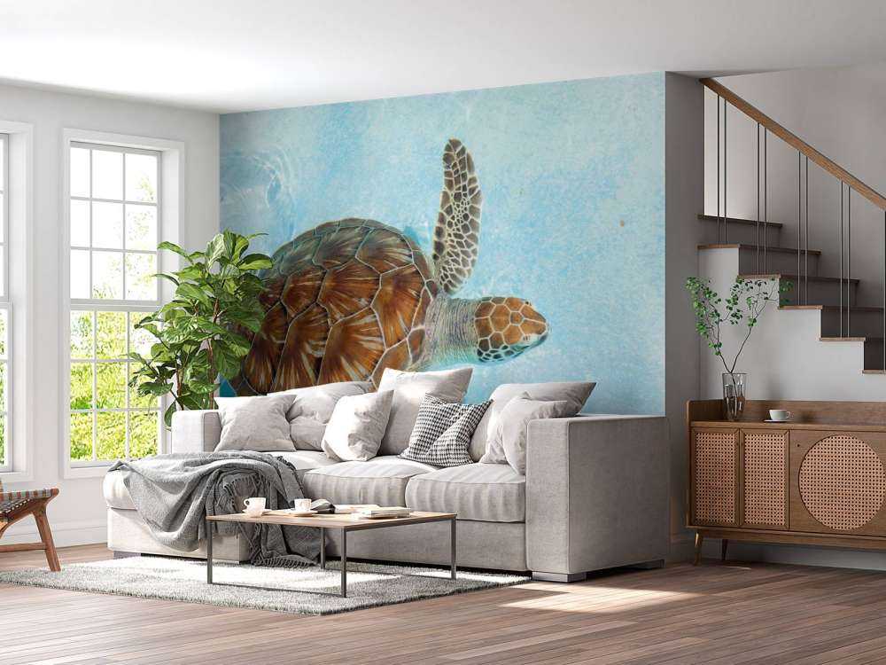 Une tortue dans l'eau