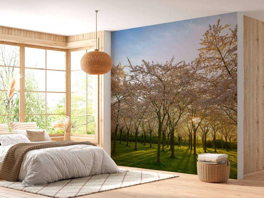 Arbres à fleurs
