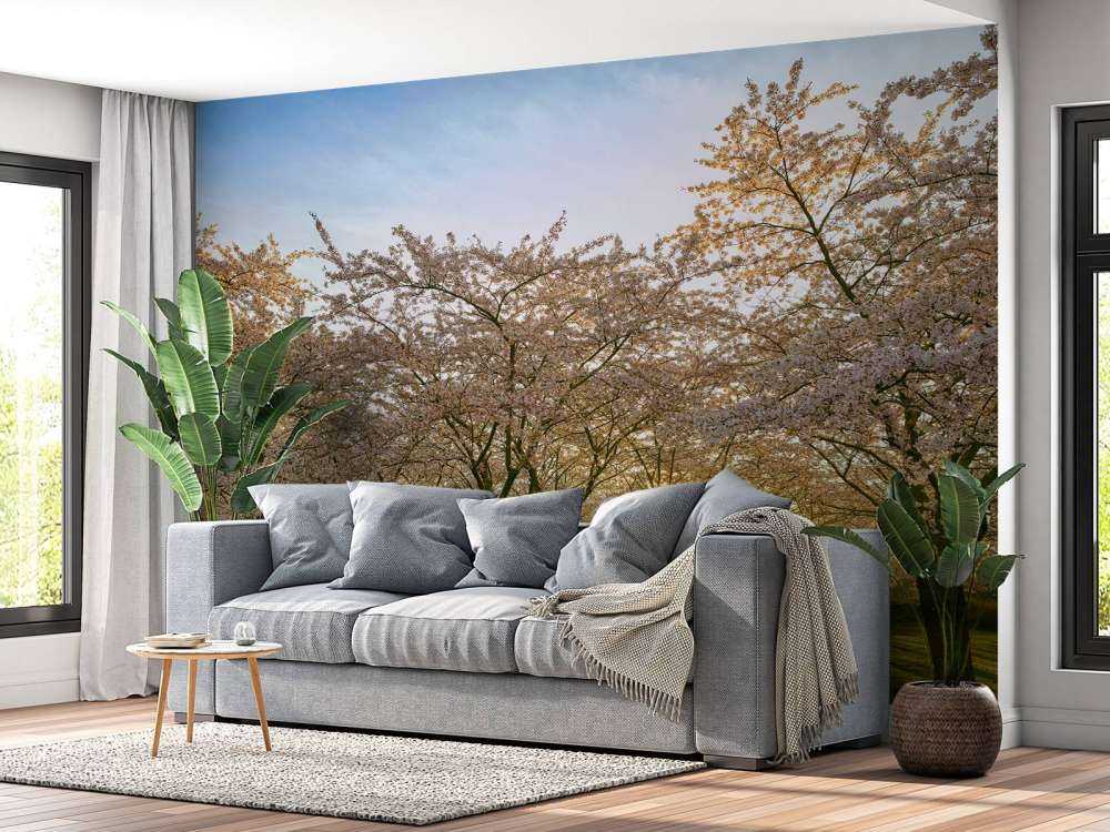 Arbres à fleurs