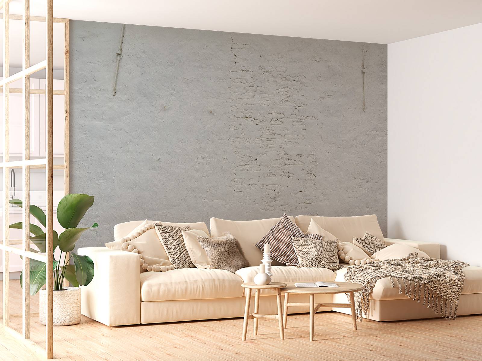 Mur de plâtre blanc et ancrages muraux
