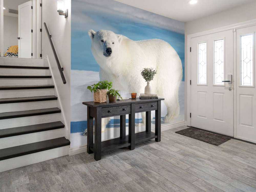 Ours polaire