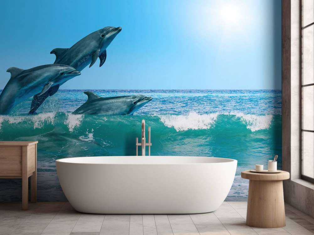 Dauphins sur la côte