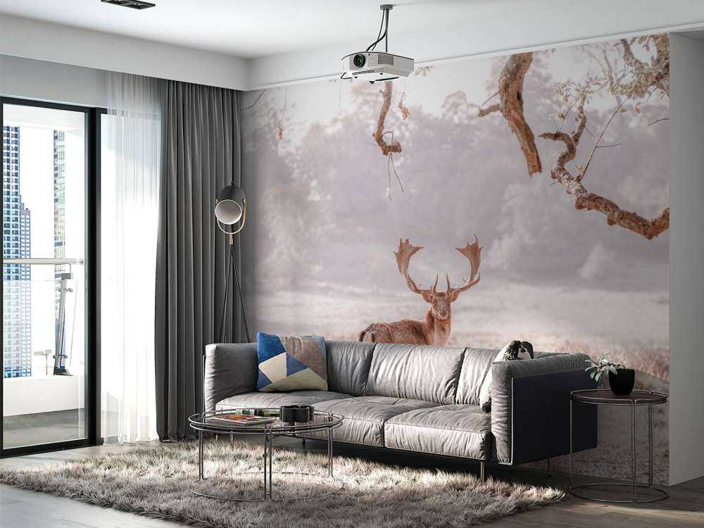 Cerf dans un champ