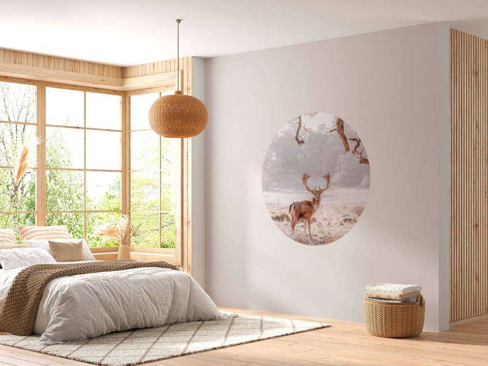 Cerf dans un champ