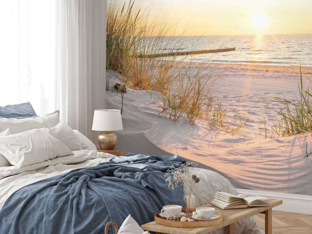Plage de dunes avec coucher de soleil