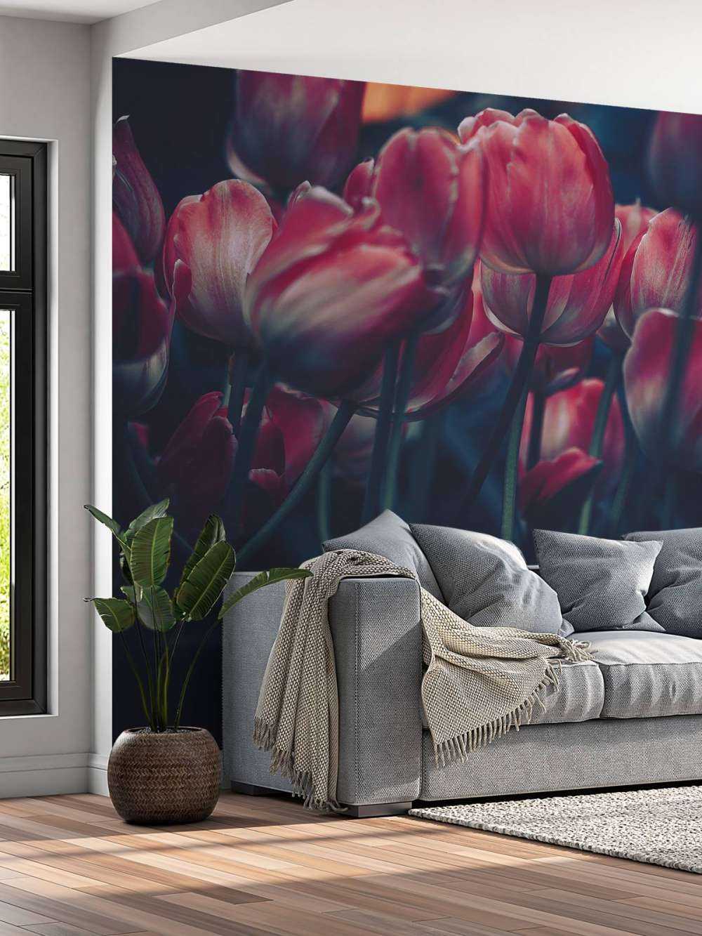 Les tulipes anciennes