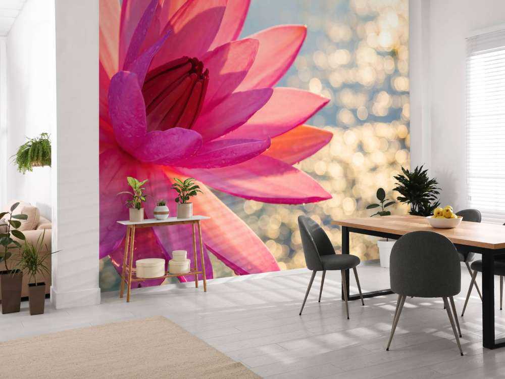 Fleur de lotus sur l'eau