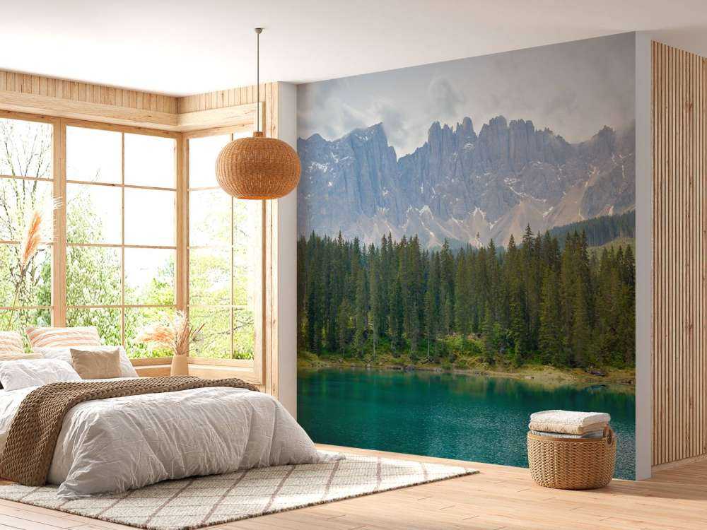 Rangée d'arbres près d'un lac de montagne