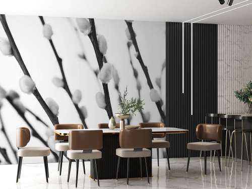 Saule noir et blanc
