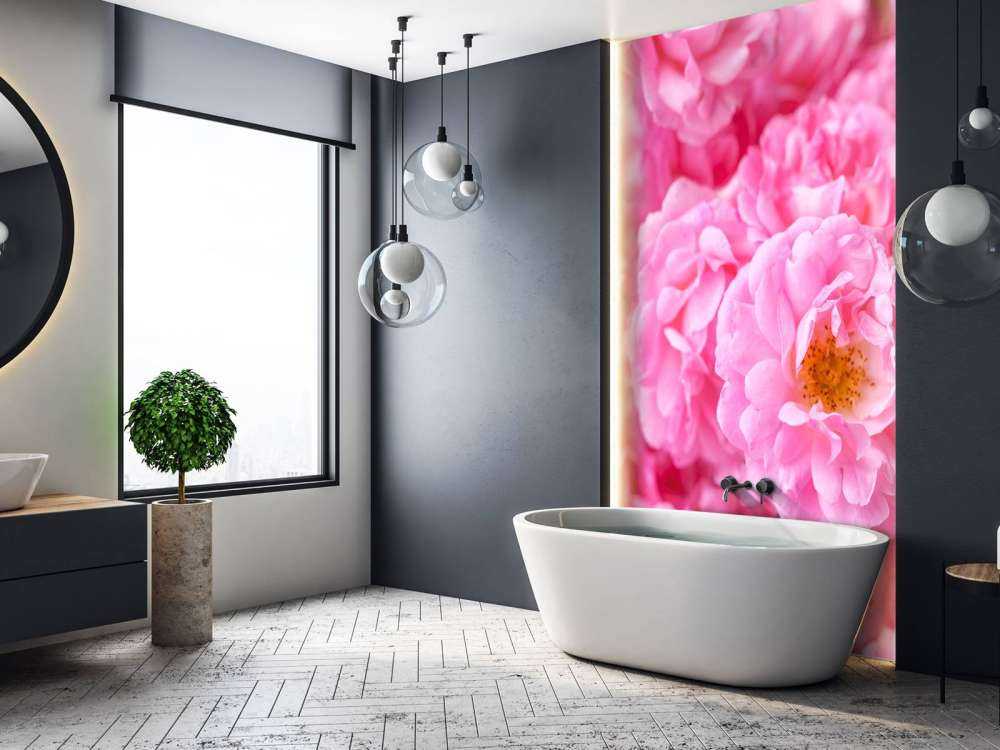 Plusieurs roses roses
