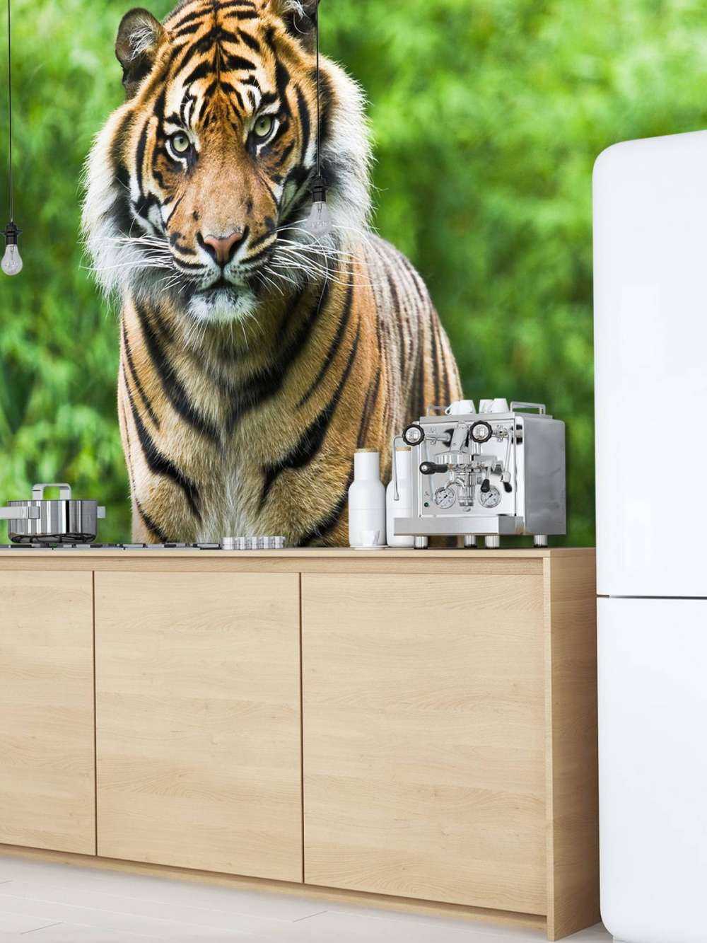 Tigre debout sur une pierre