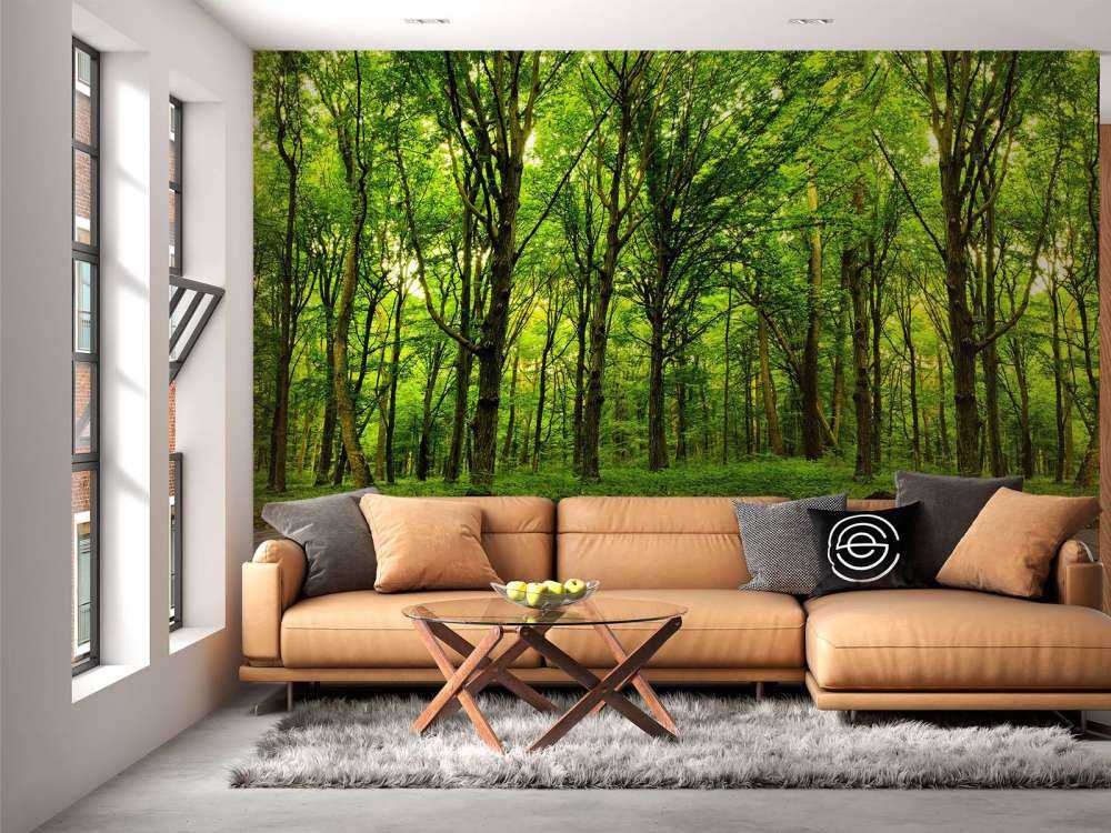 Forêt luxuriante