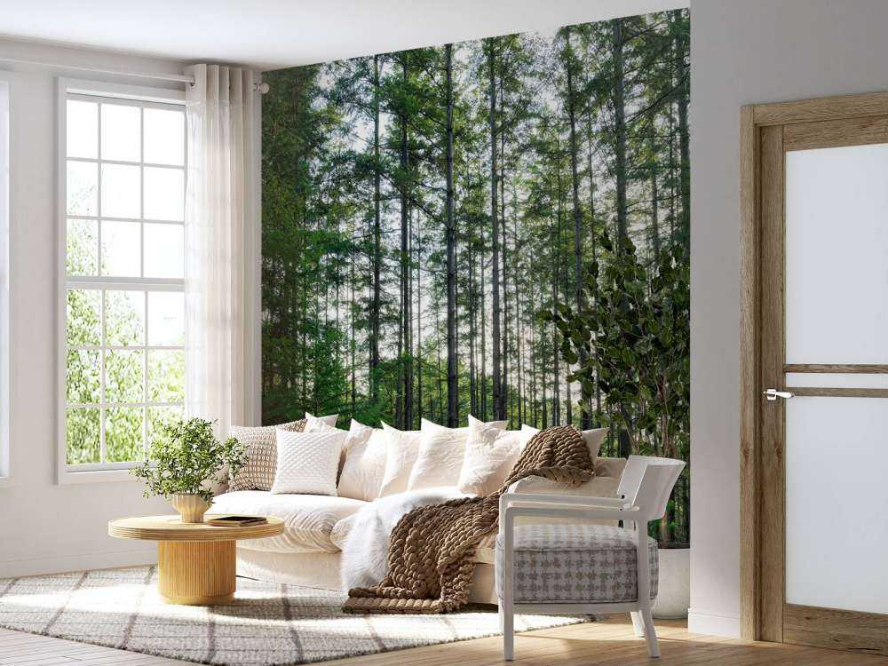 Forêt détaillée