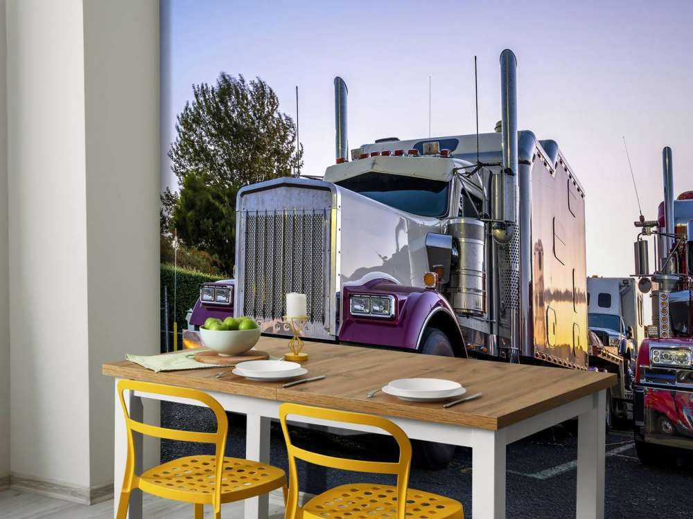 Camions classiques