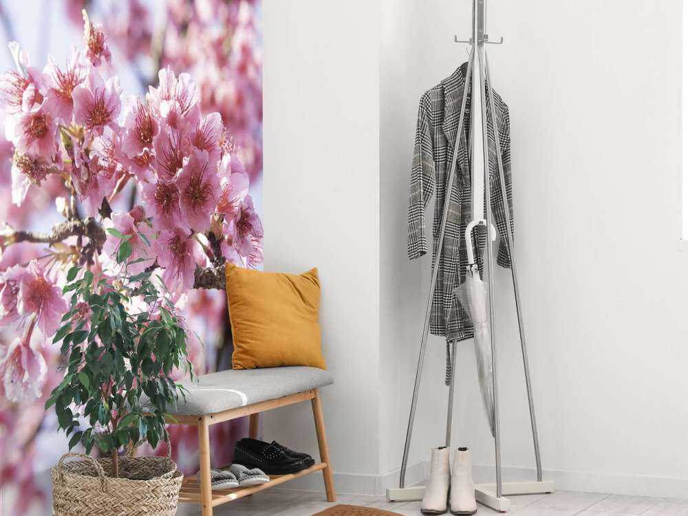 Gros plan sur la fleur rose