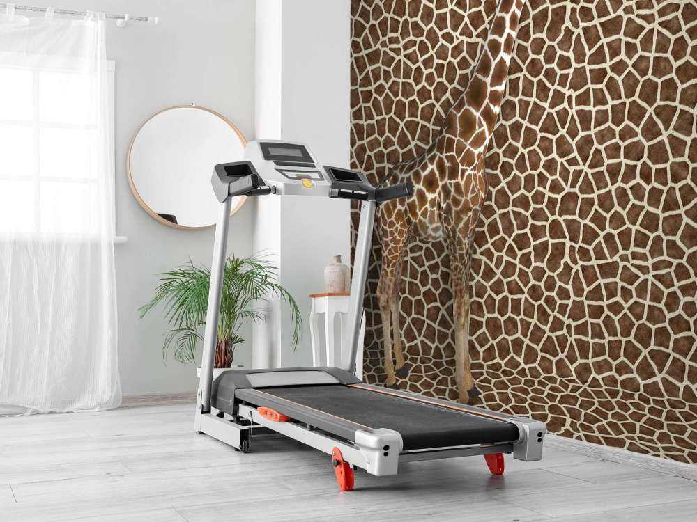 Girafe camouflée