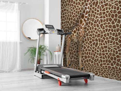Girafe camouflée