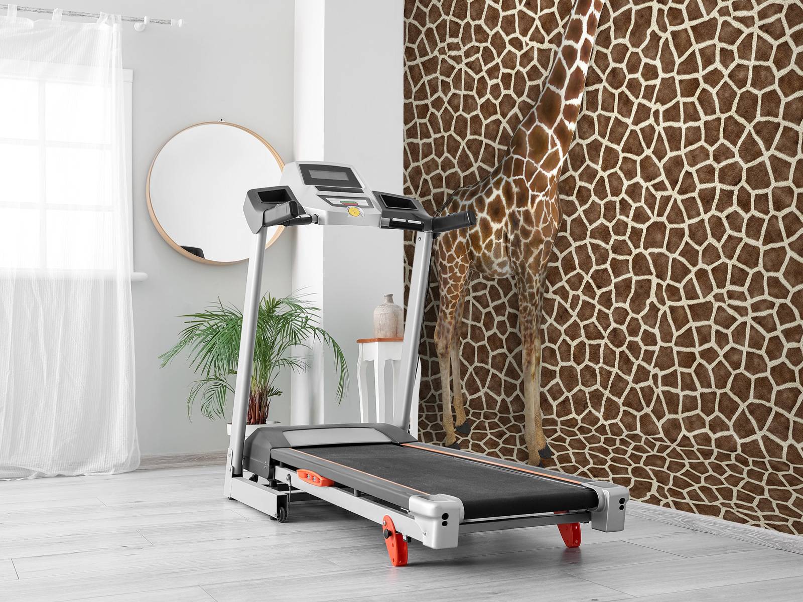 Girafe camouflée