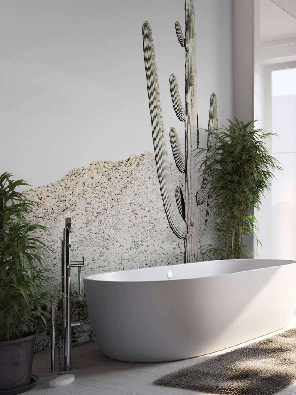 Le cactus haut