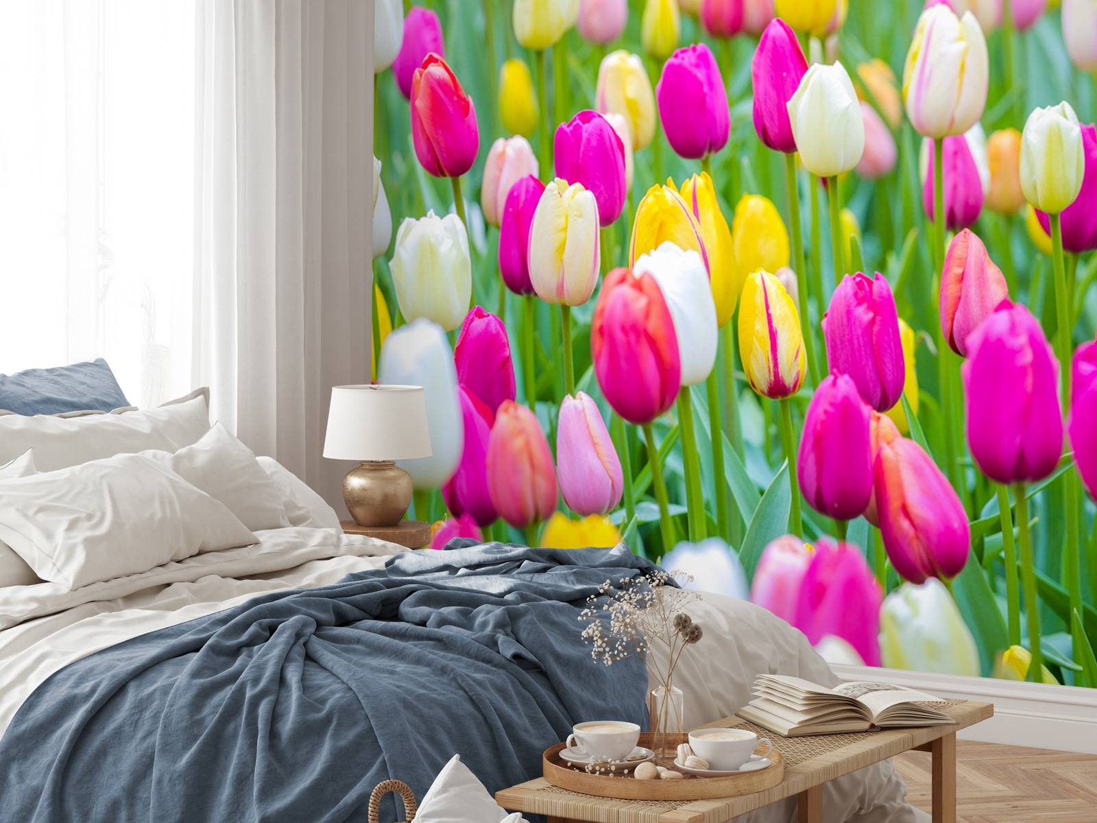 Tulipes multicolores dans un champ