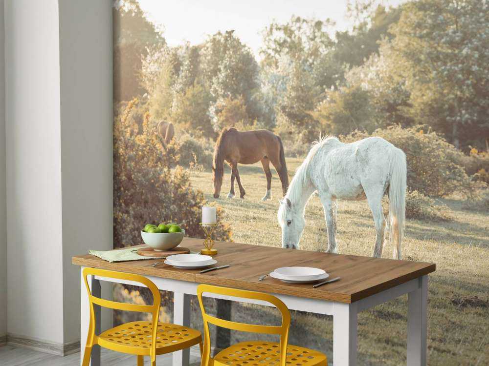 Chevaux dans la prairie