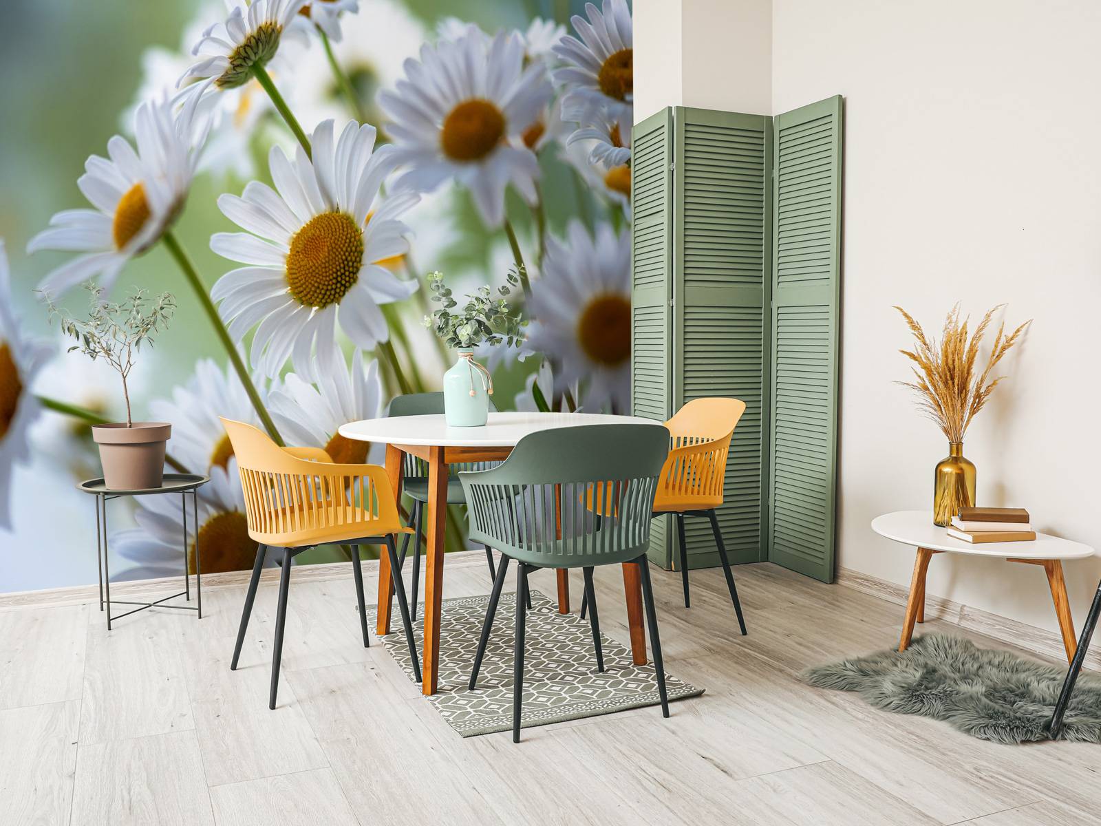 Gros plan sur les marguerites