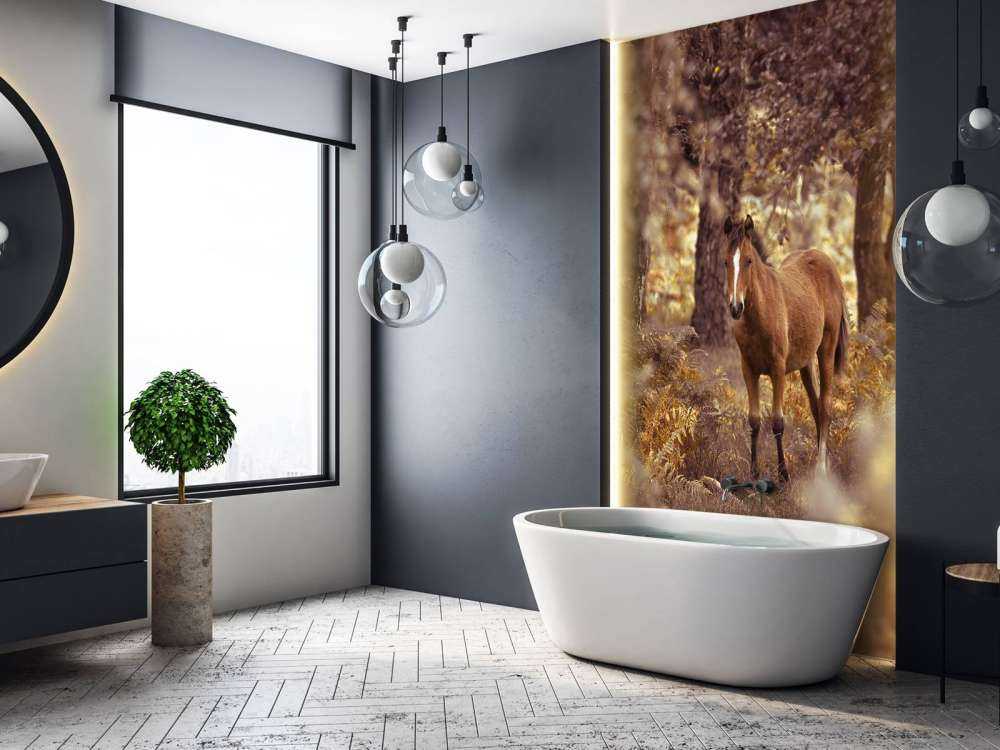 Cheval dans le désert