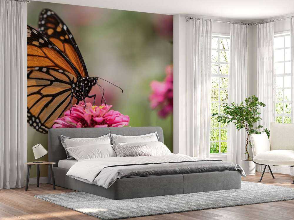 Un papillon monarque