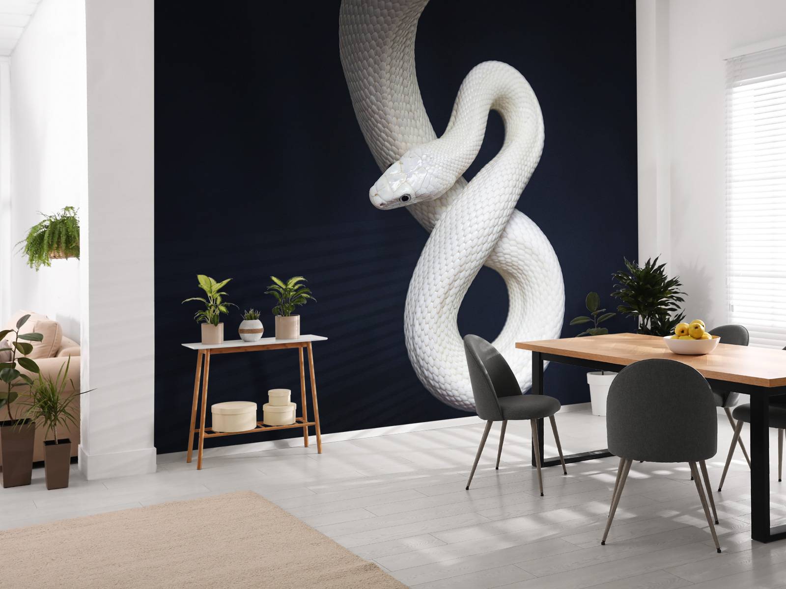 Serpent à sonnettes du Texas