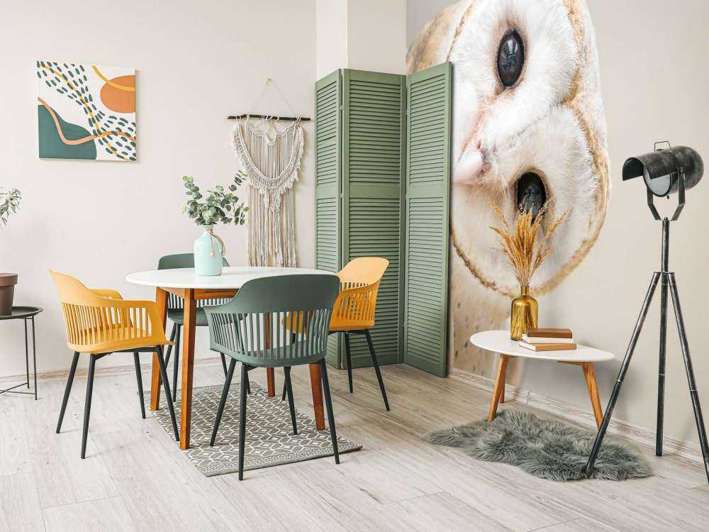 Chouette avec la tête inclinée