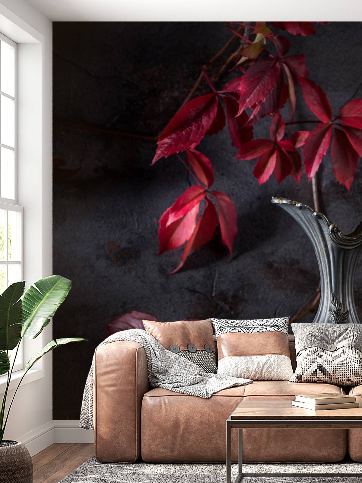 Boite de vin rouge et fruits rouges