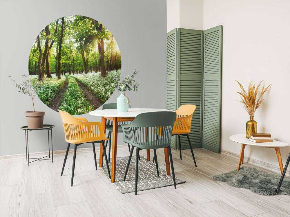 Panorama forestier