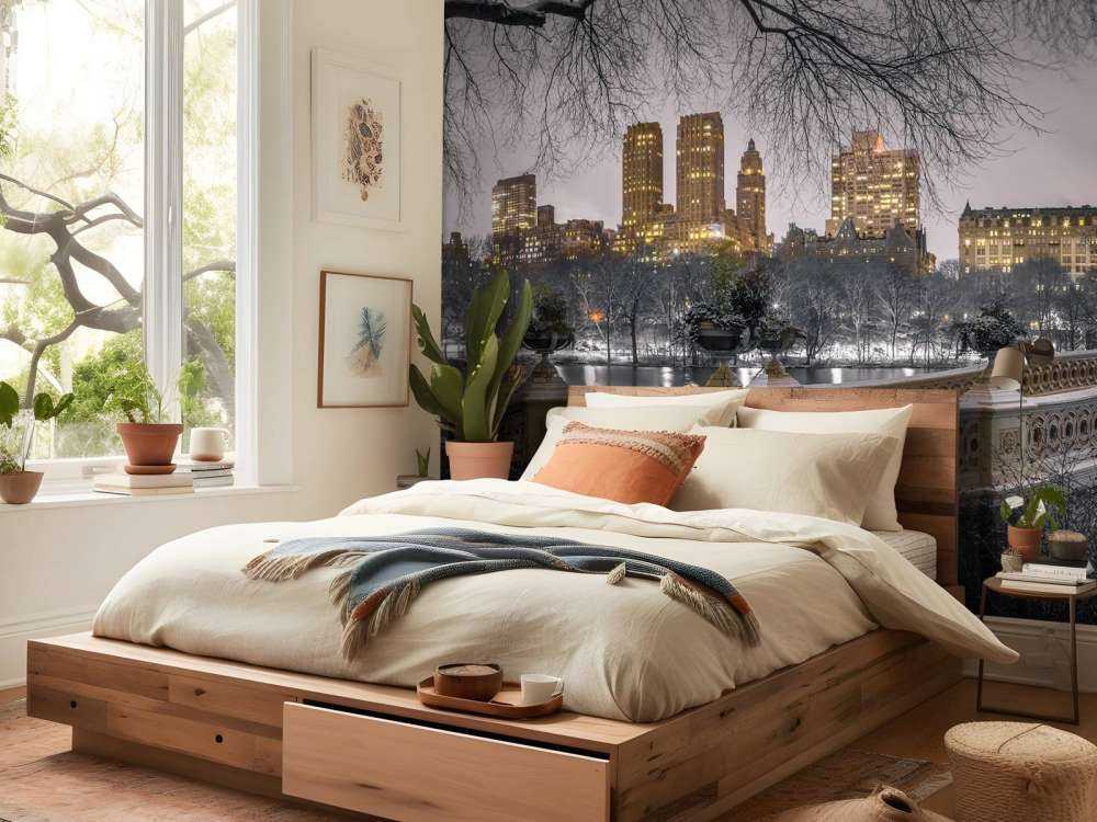 Central park et Manhattan