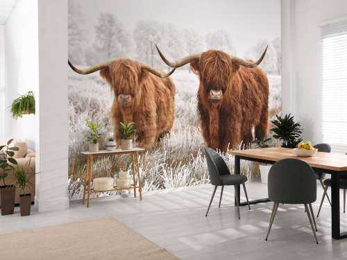 Hiver Highlander
