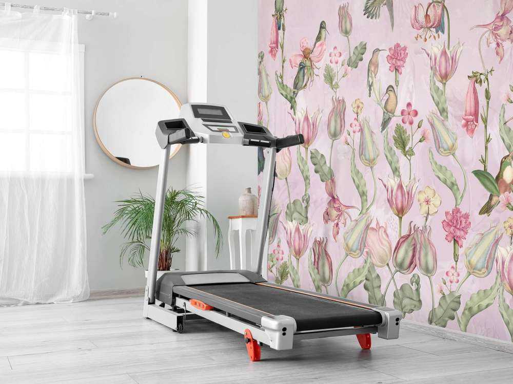 Symphonie des Colibris de Printemps - Rose en Fleurs