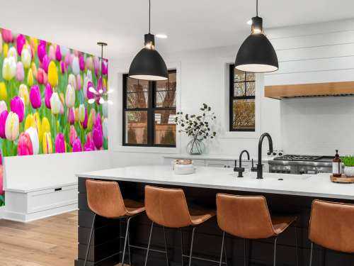 Tulipes multicolores dans un champ