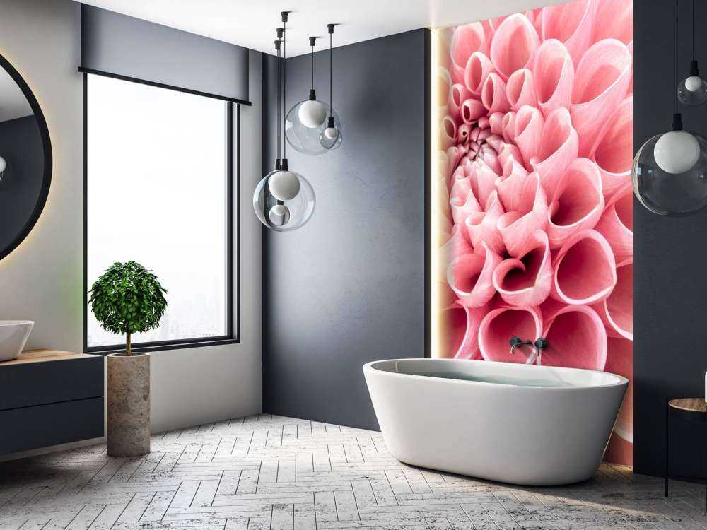 Dahlia rose