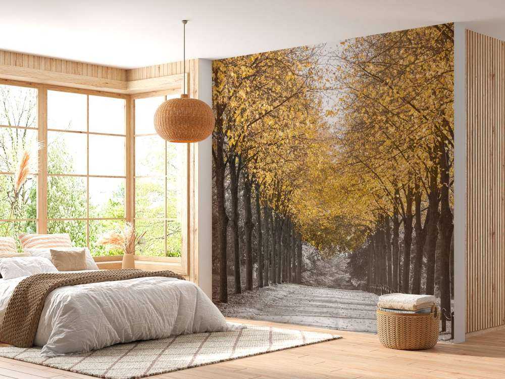 Chemin à travers les arbres