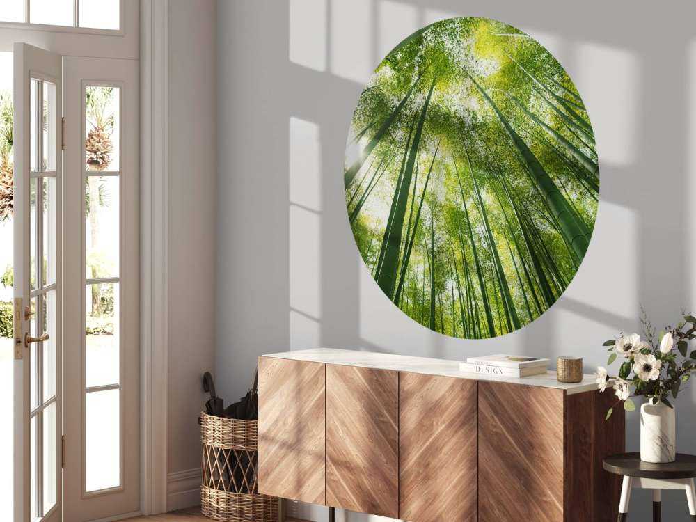 Forêt de bambous au Japon