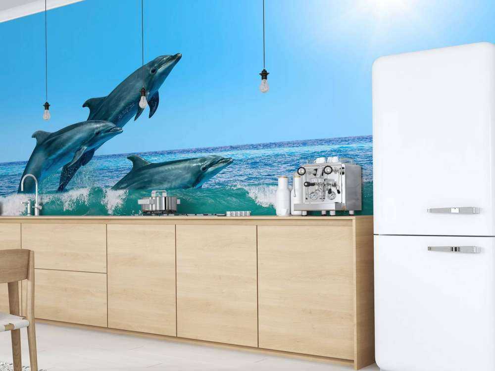 Dauphins sur la côte