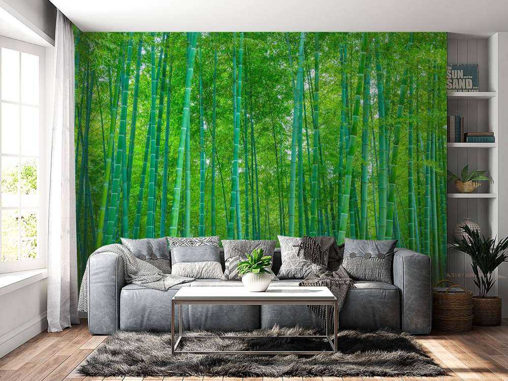 Une forêt verte de bambous