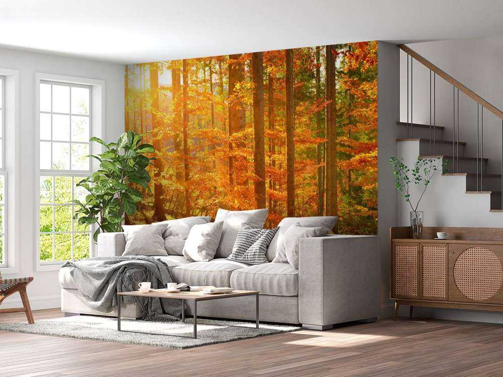 Forêt automnale