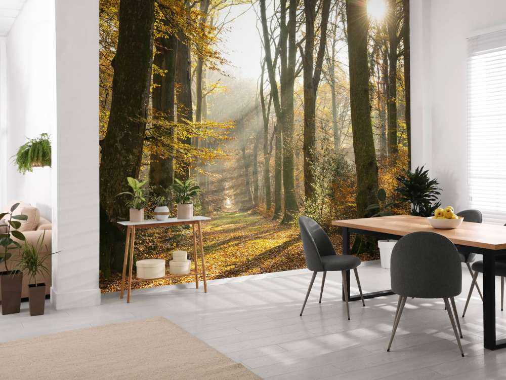 La forêt de Crécy