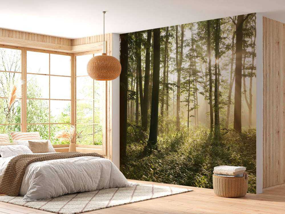 Forêt de feuillus brumeuse