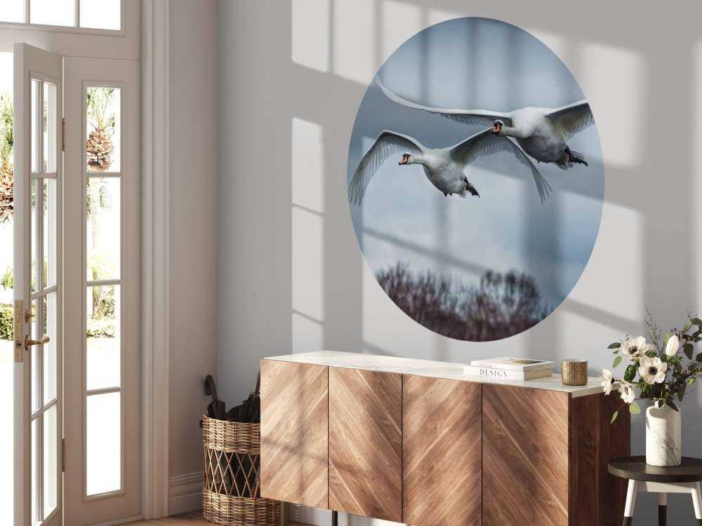 Cygne volant