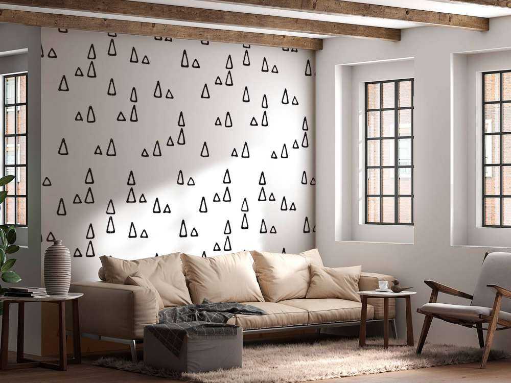 Triangles noir et blanc