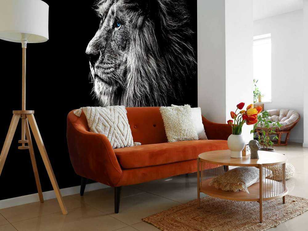 Lion aux yeux bleus