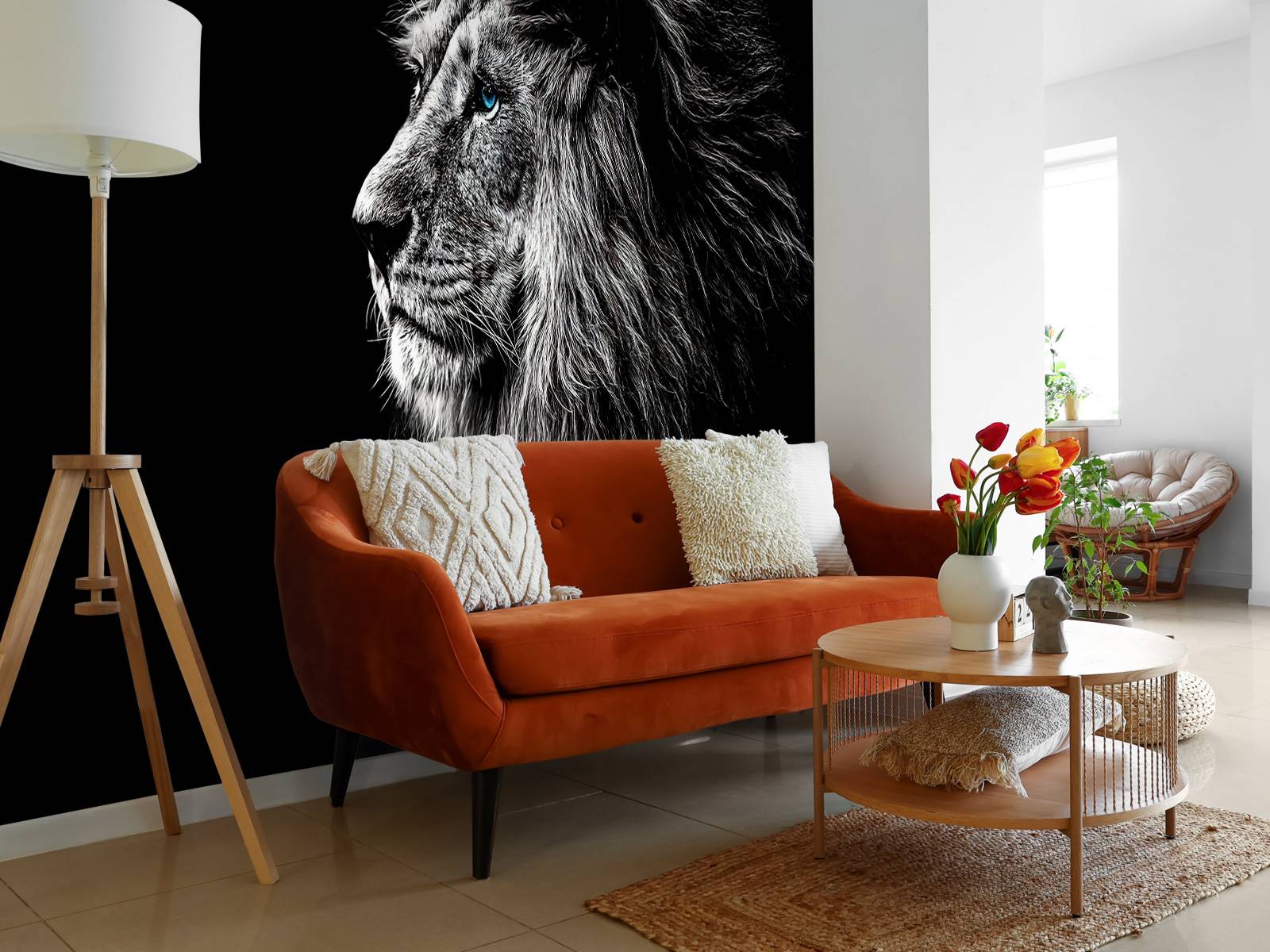 Lion aux yeux bleus