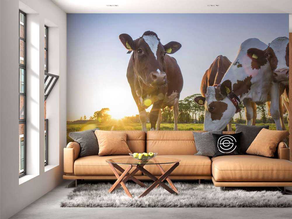Fond d'écran des vaches