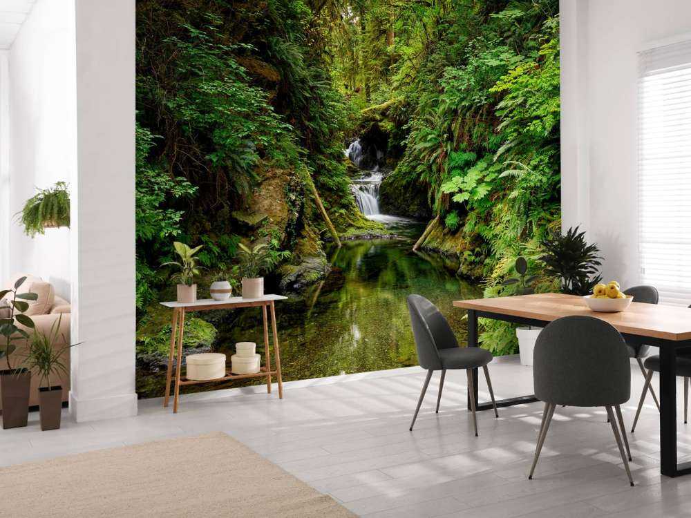 Petite cascade